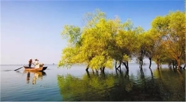春暖花開(kāi)南洞庭踏青、云夢(mèng)七色花洲一日游  