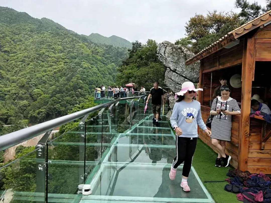 益陽安化?天下茶道、云臺(tái)山、茶香花海2日游