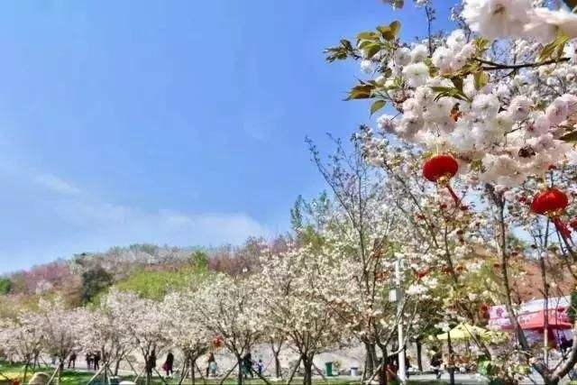 長(zhǎng)沙潯龍河櫻花谷、田漢文化園一日游